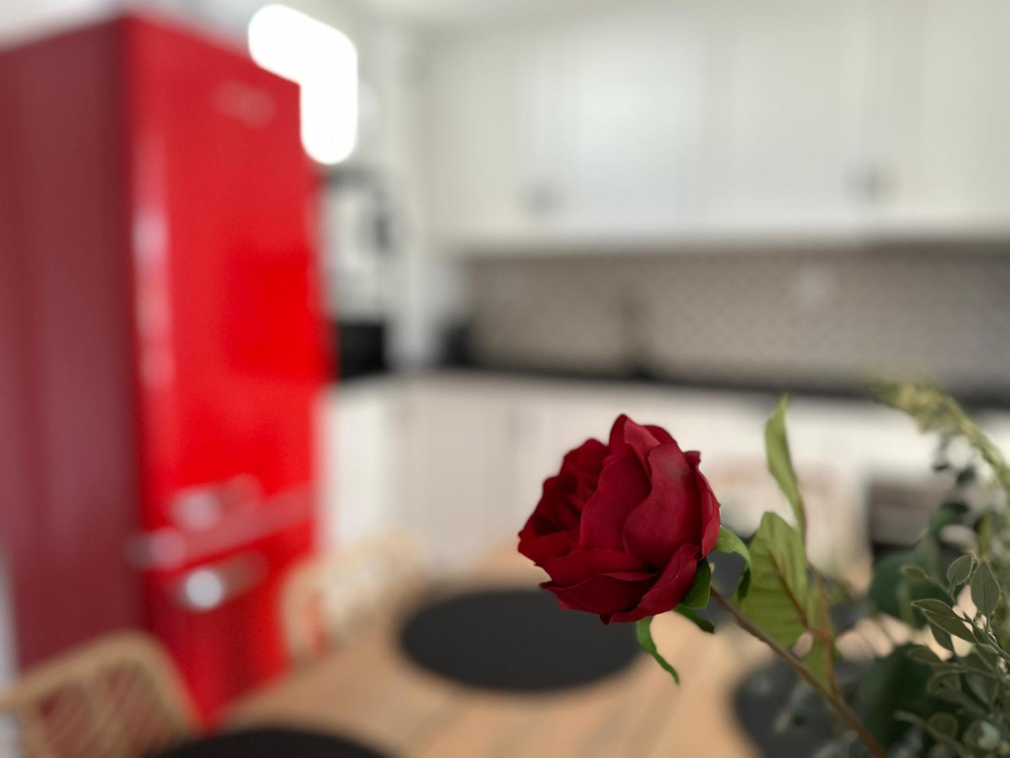 Adeva Centrico 3 Habitaciones Херес де ла Фронтера Екстериор снимка